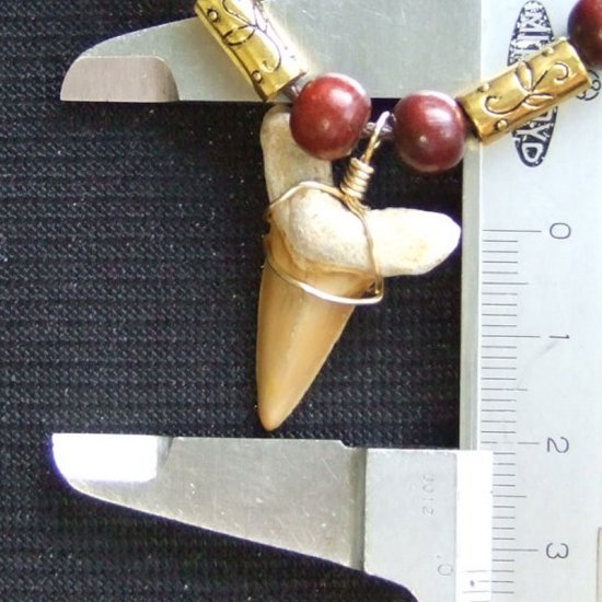 【表示現品】サメの歯化石 ペンダント（3.2cm） - 30233zhb