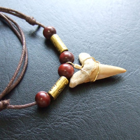 【表示現品】サメの歯化石 ペンダント（3.2cm） - 30233zhb