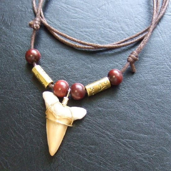 【表示現品】サメの歯化石 ペンダント（3.2cm） - 30233zhb