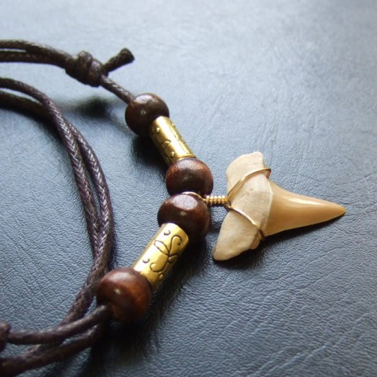 【表示現品】サメの歯化石 ペンダント（2.5cm） - 30234zhb