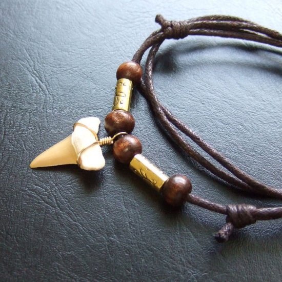 【表示現品】サメの歯化石 ペンダント（2.5cm） - 30234zhb