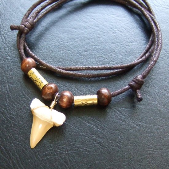 【表示現品】サメの歯化石 ペンダント（2.5cm） - 30234zhb