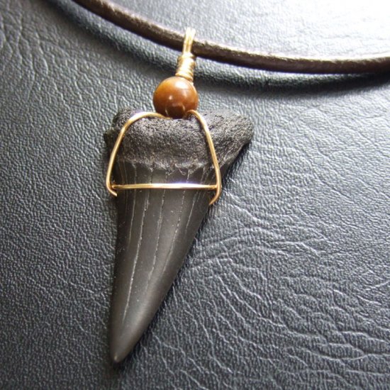 【表示現品】4cm 古代アオザメの歯化石ペンダント - 30244zhb