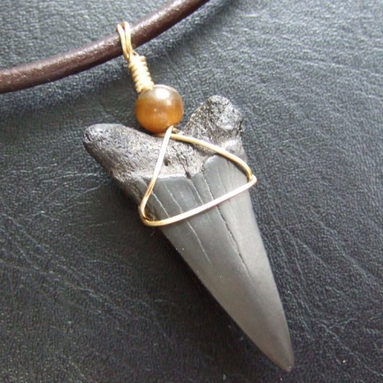 【表示現品】4cm 古代アオザメの歯化石ペンダント - 30244zhb