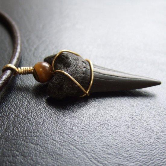 【表示現品】4cm 古代アオザメの歯化石ペンダント - 30244zhb