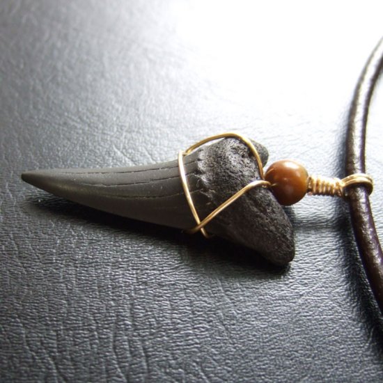 【表示現品】4cm 古代アオザメの歯化石ペンダント - 30244zhb