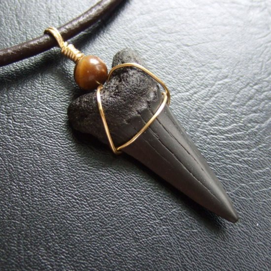 【表示現品】4cm 古代アオザメの歯化石ペンダント - 30244zhb