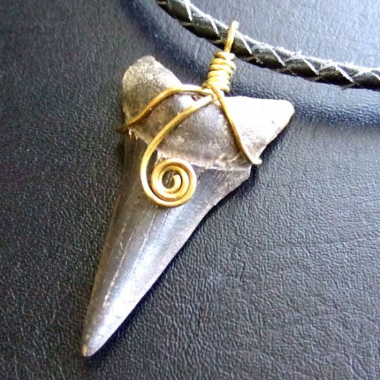 【表示現品】ビンテージ風 アオザメの歯化石 ペンダント（4.5cm） - 30257zhb