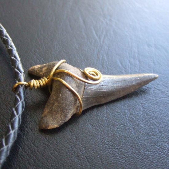 【表示現品】ビンテージ風 アオザメの歯化石 ペンダント（4.5cm） - 30257zhb