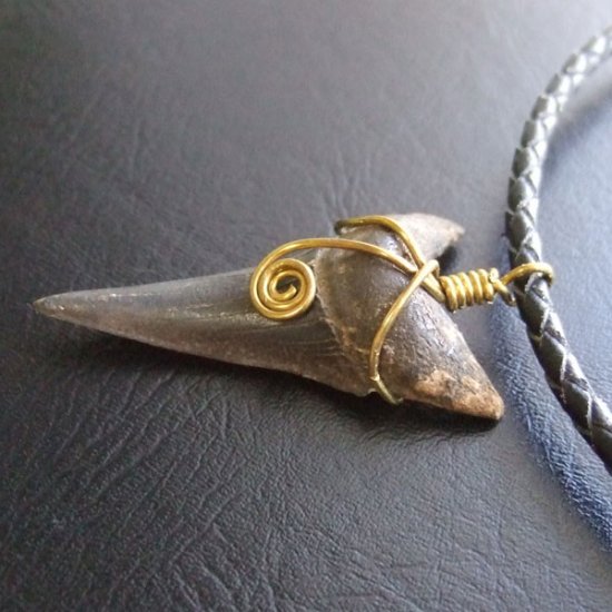 【表示現品】ビンテージ風 アオザメの歯化石 ペンダント（4.5cm） - 30257zhb