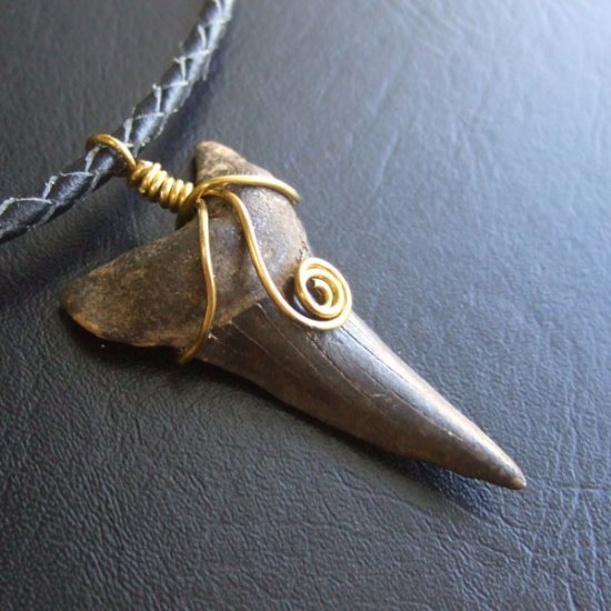 【表示現品】ビンテージ風 アオザメの歯化石 ペンダント（4.5cm） - 30257zhb