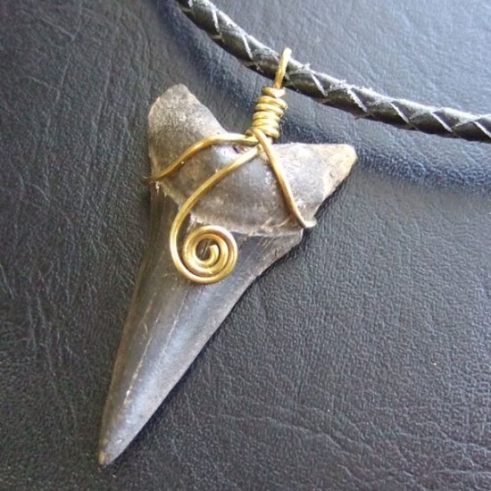 【表示現品】ビンテージ風 アオザメの歯化石 ペンダント（4.5cm） - 30257zhb