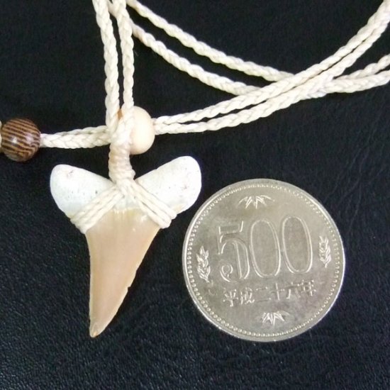【表示現品】サメの歯化石 ペンダント - 30274zhb