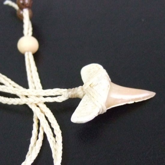 【表示現品】サメの歯化石 ペンダント - 30274zhb