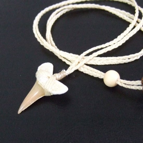 【表示現品】サメの歯化石 ペンダント - 30274zhb