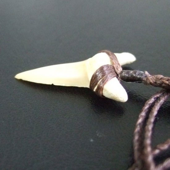 【表示現品】サメの歯化石 ペンダント - 30278zhb