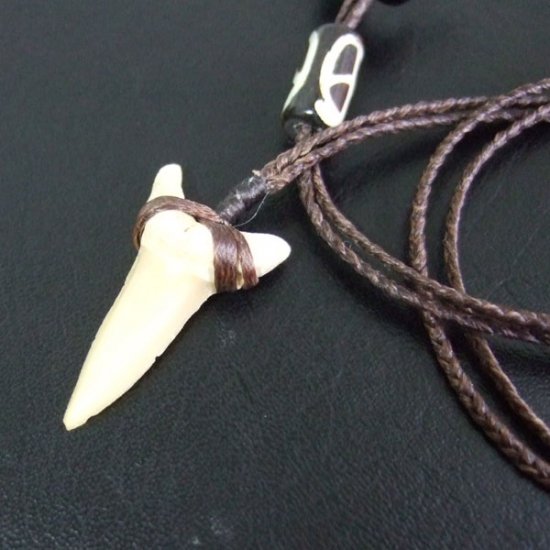 【表示現品】サメの歯化石 ペンダント - 30278zhb