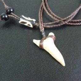 【表示現品】サメの歯化石 ペンダント - 30278zhb  【表示現品】サメの歯化石 ペンダント - 30278zhb
