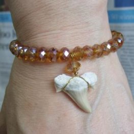 【訳あり現品】サメの歯化石グラスビーズブレスレット - 30280zhb 【訳あり現品】サメの歯化石グラスビーズブレスレット - 30280zhb