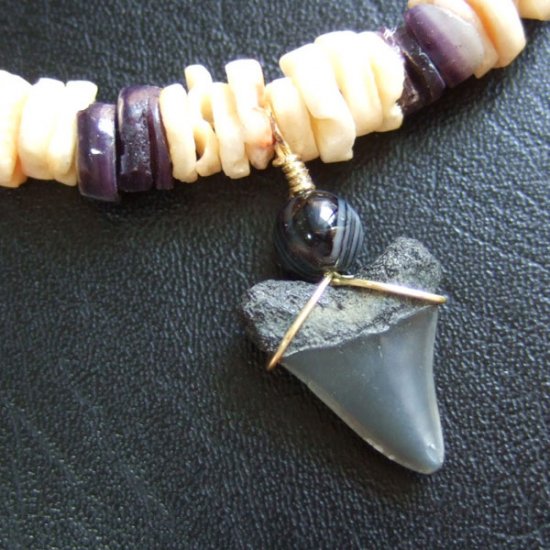 【表示現品】サメの歯化石 ビーズチョーカー - 30284zhb