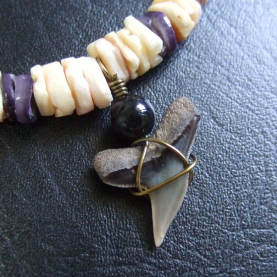 【表示現品】サメの歯化石 ビーズチョーカー - 30286zhb