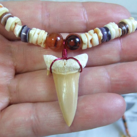 【表示現品】サメの歯化石 ビーズチョーカー - 30287zhb