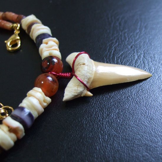 【表示現品】サメの歯化石 ビーズチョーカー - 30287zhb