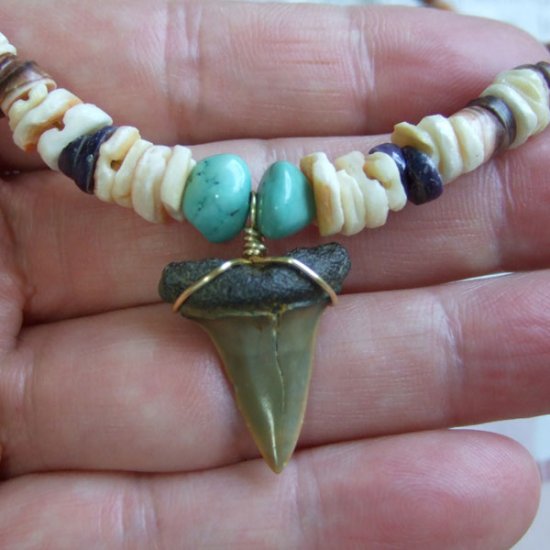 【表示現品】古代アオザメの歯化石 ビーズチョーカー - 30292zhb