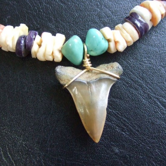 【表示現品】古代アオザメの歯化石 ビーズチョーカー - 30292zhb