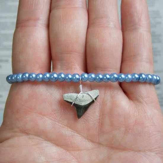 【表示現品】メジロザメの歯化石　ビーズブレスレット - 30314zhb