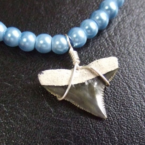 【表示現品】メジロザメの歯化石　ビーズブレスレット - 30314zhb