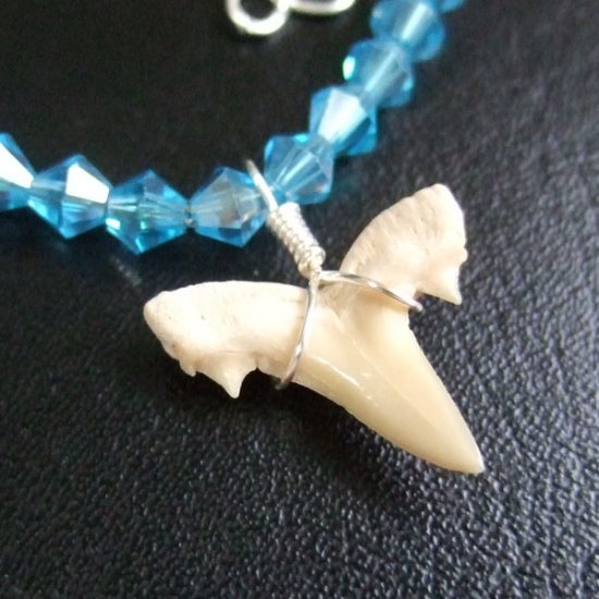 【表示現品】サメの歯化石グラスビーズブレスレット - 30315zhb