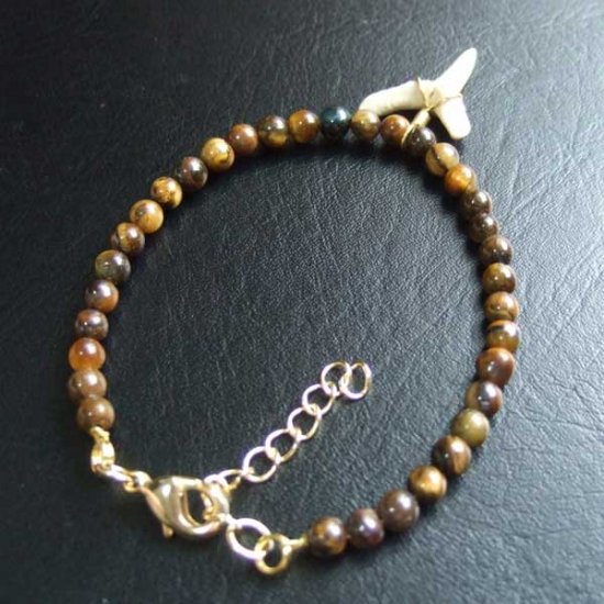 【表示現品】シロワニの仲間の歯の化石　タイガーアイビーズブレスレット - SFB-16007