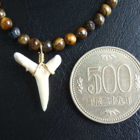 【表示現品】シロワニの仲間の歯の化石　タイガーアイビーズブレスレット - SFB-16007