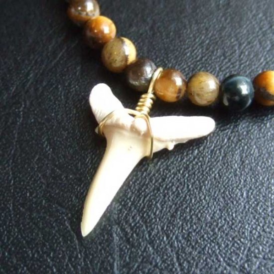 【表示現品】シロワニの仲間の歯の化石　タイガーアイビーズブレスレット - SFB-16007