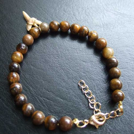 【表示現品】シロワニの仲間の歯の化石　タイガーアイビーズブレスレット - SFB-16008