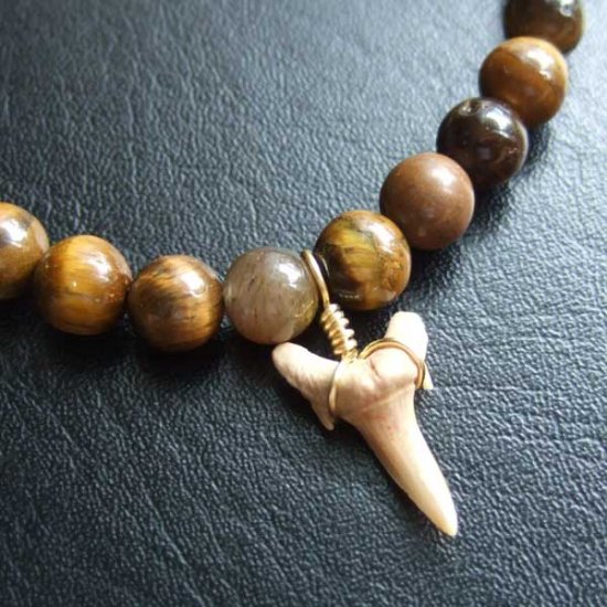 【表示現品】シロワニの仲間の歯の化石　タイガーアイビーズブレスレット - SFB-16008