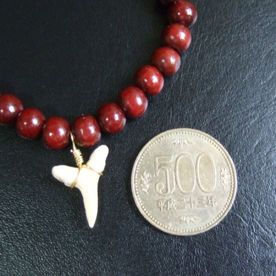 【表示現品】シロワニの仲間の歯の化石　ウッドビーズブレスレット - SFB13001