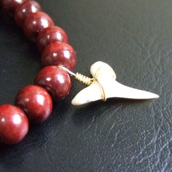 【表示現品】シロワニの仲間の歯の化石　ウッドビーズブレスレット - SFB13001