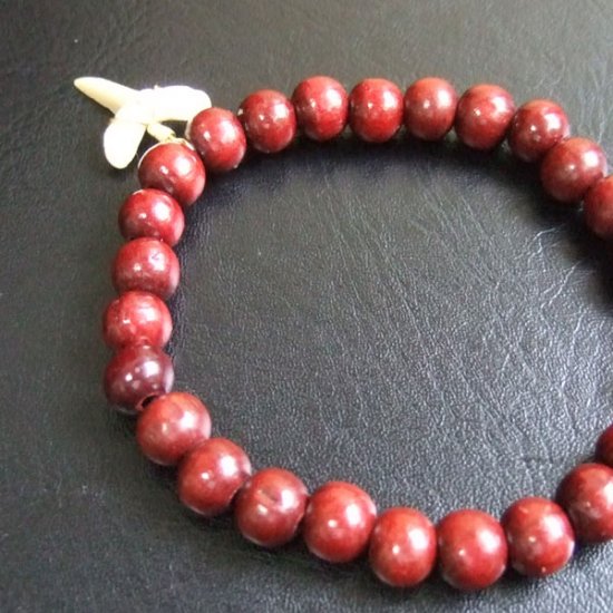 【表示現品】シロワニの仲間の歯の化石　ウッドビーズブレスレット - SFB13001