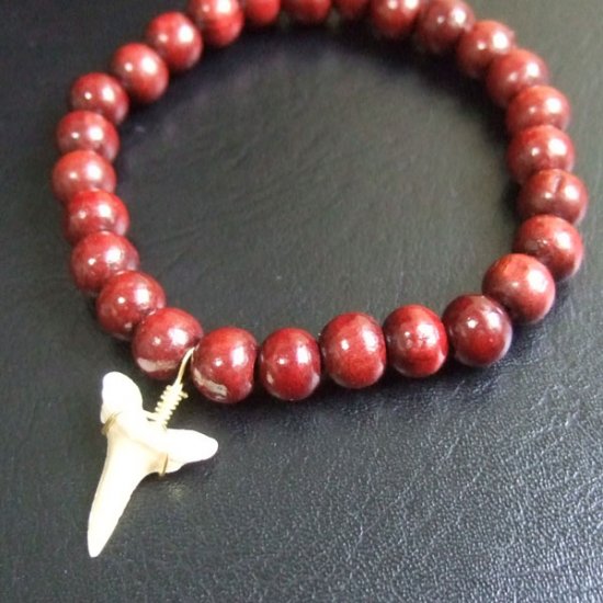 【表示現品】シロワニの仲間の歯の化石　ウッドビーズブレスレット - SFB13001