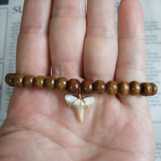 【表示現品】シロワニの仲間の歯の化石　ウッドビーズブレスレット - SFB13002