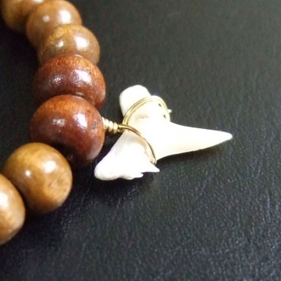 【表示現品】シロワニの仲間の歯の化石　ウッドビーズブレスレット - SFB13002