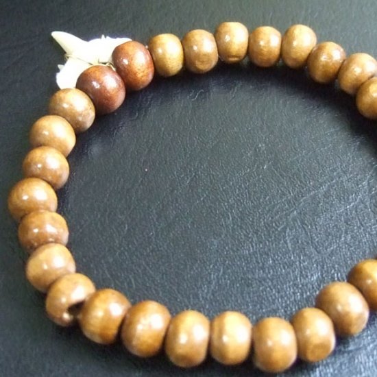 【表示現品】シロワニの仲間の歯の化石　ウッドビーズブレスレット - SFB13002