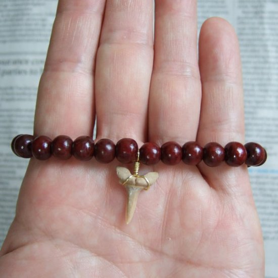 【表示現品】シロワニの仲間の歯の化石　ウッドビーズブレスレット - SFB13004