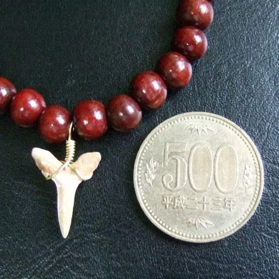 【表示現品】シロワニの仲間の歯の化石　ウッドビーズブレスレット - SFB13004