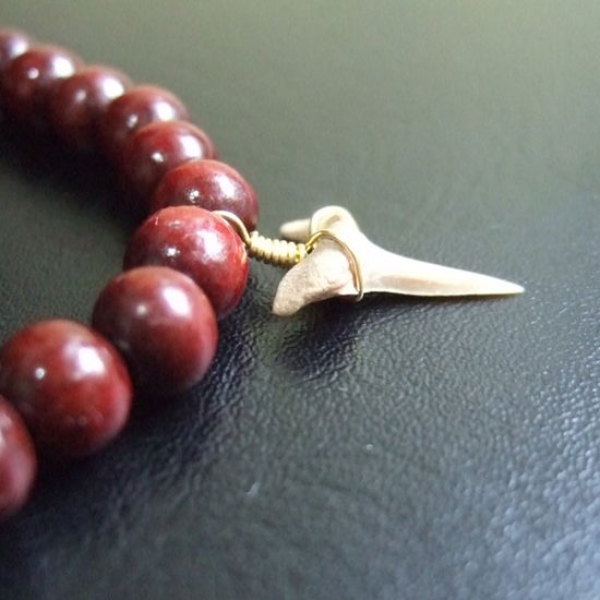 【表示現品】シロワニの仲間の歯の化石　ウッドビーズブレスレット - SFB13004