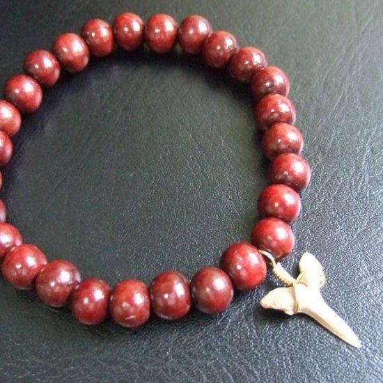 【表示現品】シロワニの仲間の歯の化石　ウッドビーズブレスレット - SFB13004