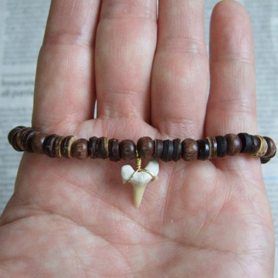 【表示現品】シロワニの仲間の歯の化石　ウッドビーズブレスレット - SFB13005