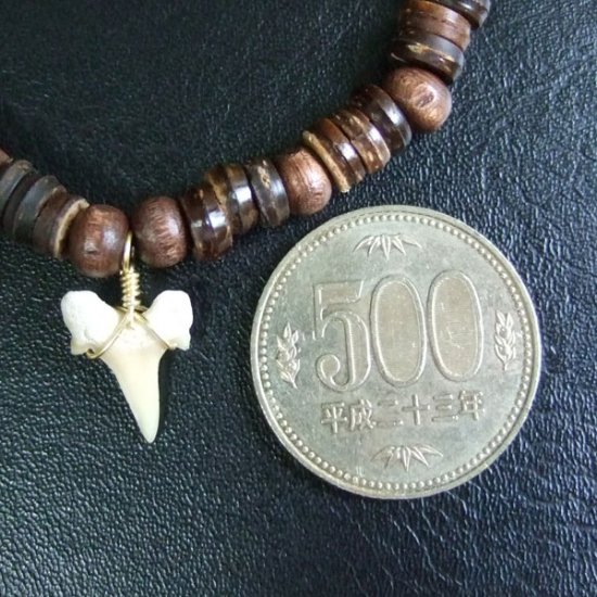【表示現品】シロワニの仲間の歯の化石　ウッドビーズブレスレット - SFB13005